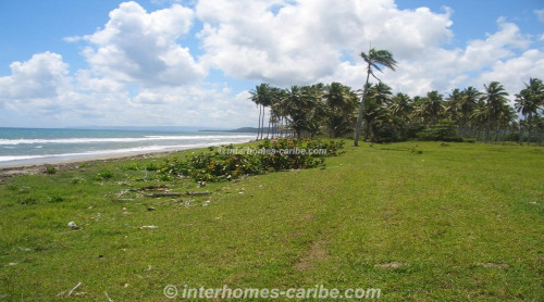 photos for LAS CANAS: LOT WITH 388 m SEAFRONT